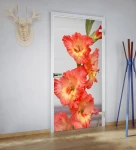 Skleněné otevírané dveře s nastavitelnou zárubní TOP grafika KOL/015