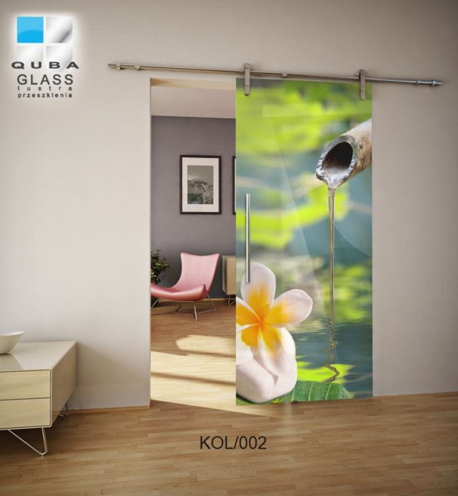 drzwi_Szklane_grafika_kol_002.jpg