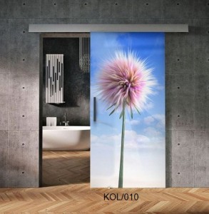 drzwi_szklane_przesuwne_grafika_kol_010_design.jpg